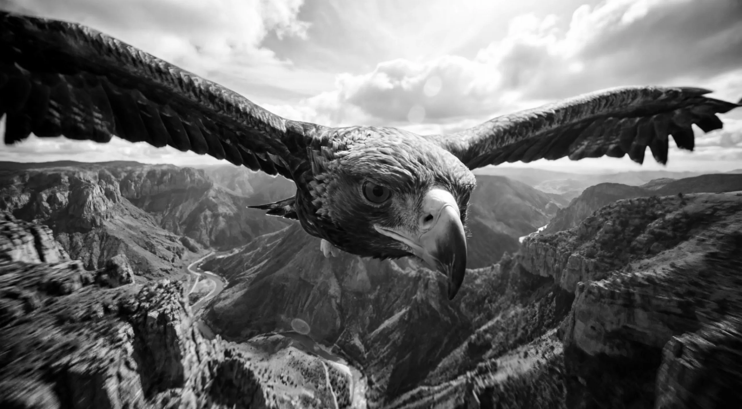 Native 4K fidelity