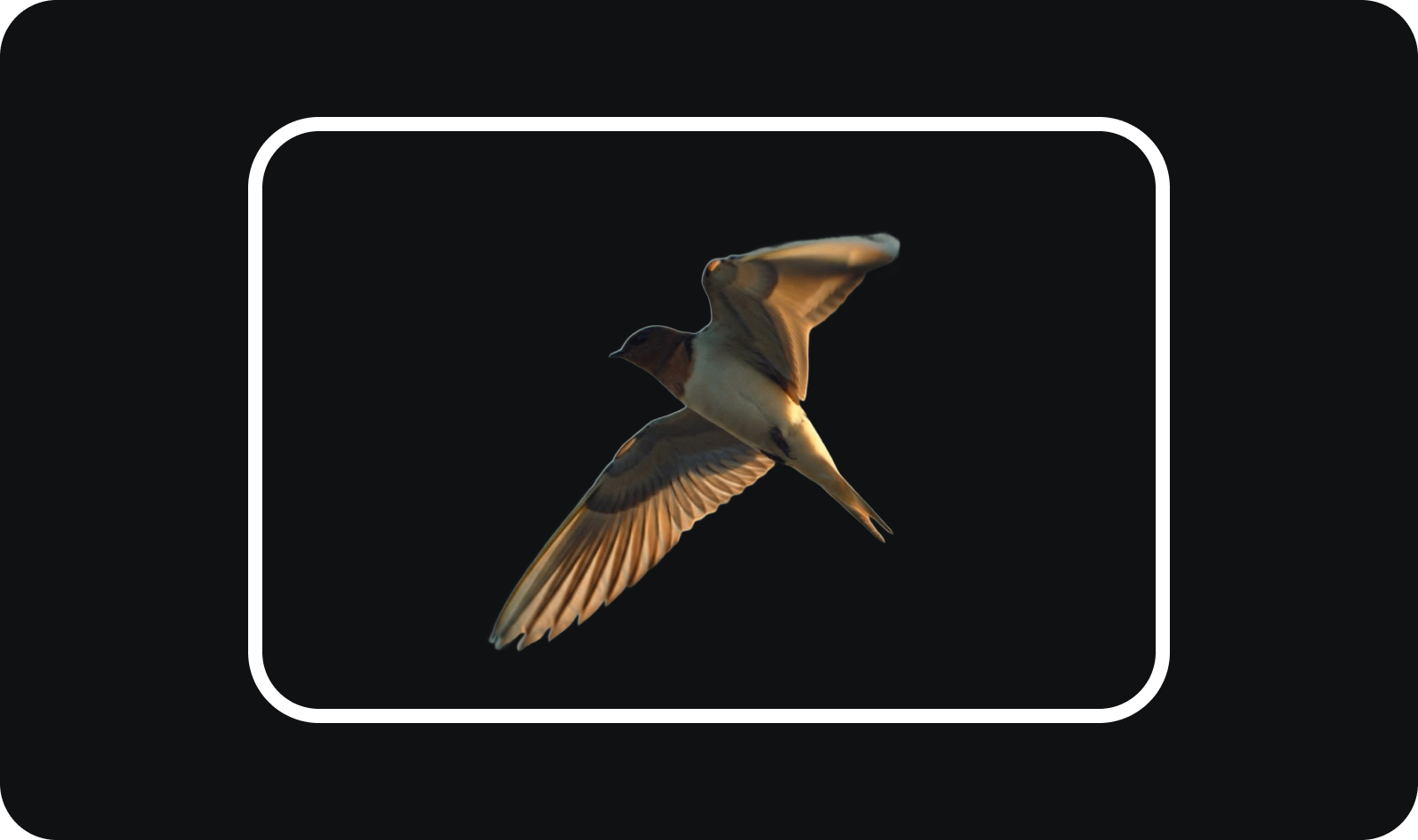 DOWNLOAD YOUR VIDEO: Get a clean video with the background removed — ready for compositing, green screen replacement, or your next Higgsfield creation